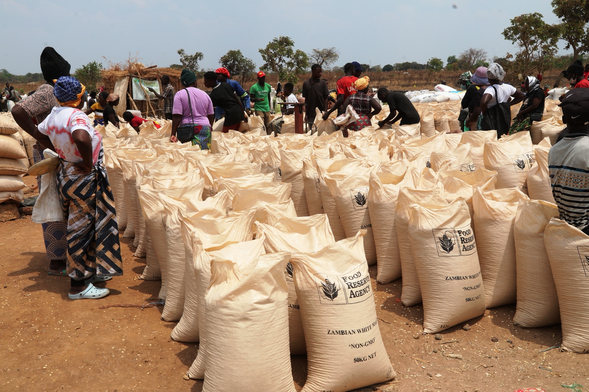 Farmers urged to preserve maize stocks
