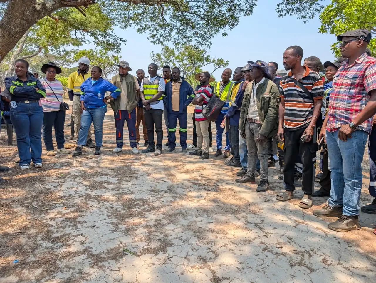 GOVT BEGINS ALLOCATION OF 89 GOLD TENEMENTS AT KIKONGE