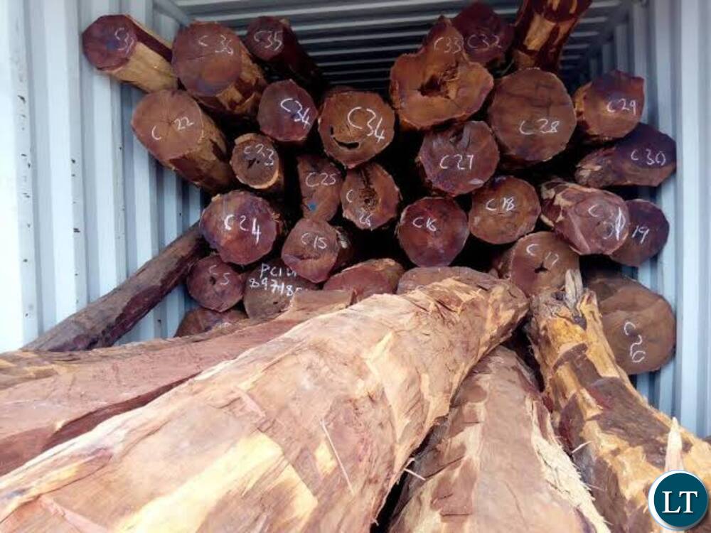 Zambia : Zambia Open For Investment In Timber