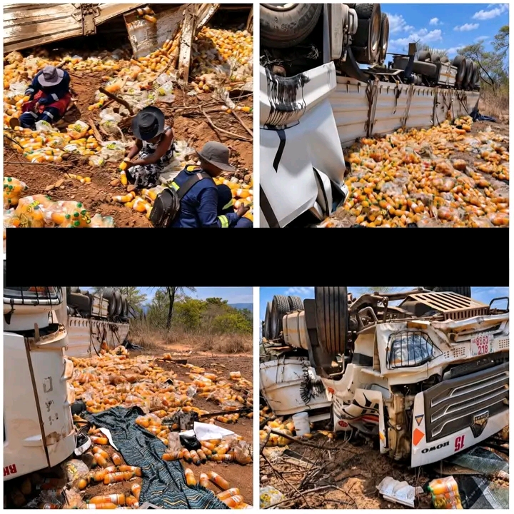 ZIMBABWEANS WIN PRAISE AFTER HELPING A ZAMBIAN TRUCK DRIVER RECOVER HIS JUICE CARGO FOLLOWING A CRASH INSTEAD OF LOOTING IT!