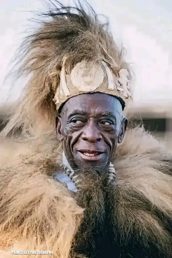 CHIEF MUKUNI’S RISE TO PARAMOUNTCY: A BLESSING OR A BURDENING PRECEDENCE FOR OTHER TRIBAL FORMATIONS TO FOLLOW?