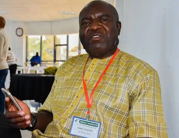 Small-scale Gemstone miners cry foul over ZEMA fees