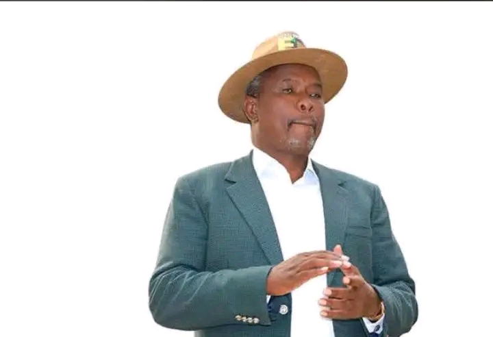 THE BILLIONAIRE IN THE CABINET: HOW MNANGAGWA IS RIGGING ZIMBABWE’S SUCCESSION GAME