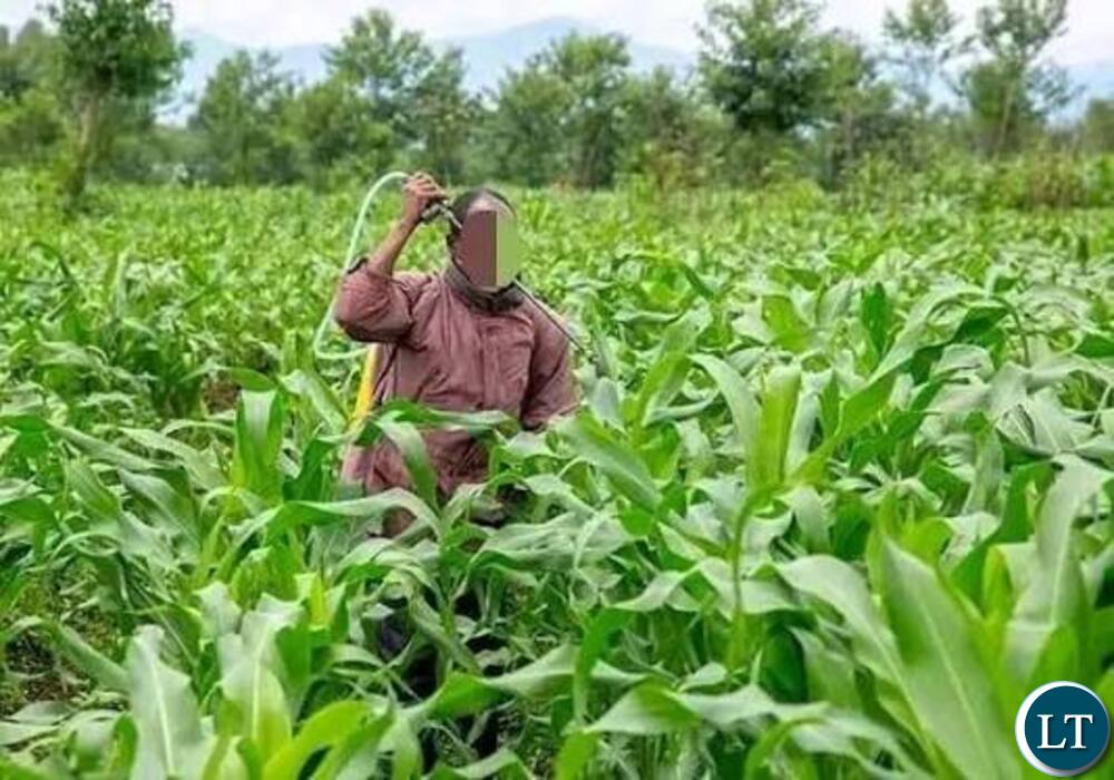 Zambia : Chama Farmer Dies After Insecticide Ingestion