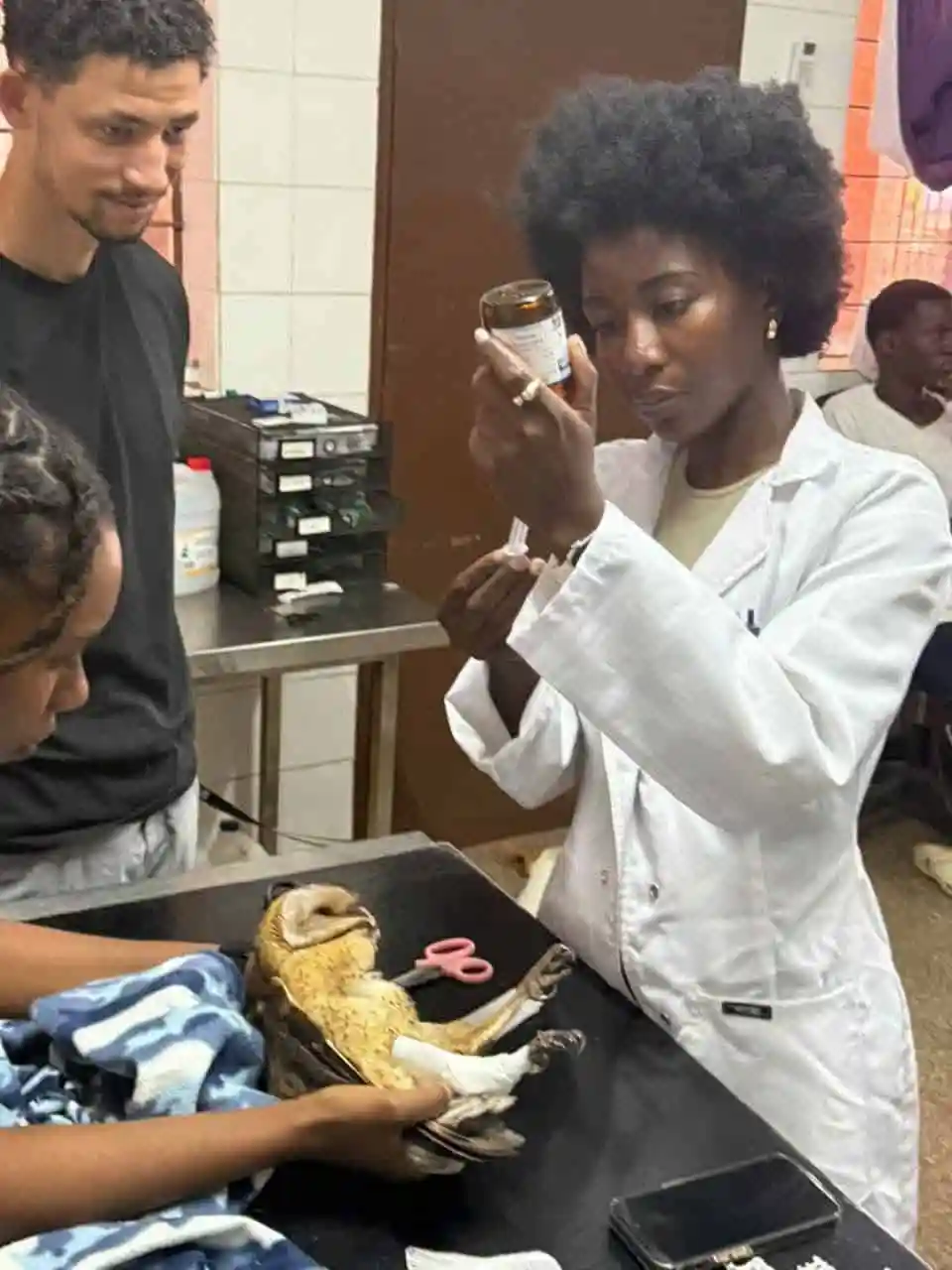 Rescued Owl Receives Specialised Treatment After Stoning Attack in Lusaka