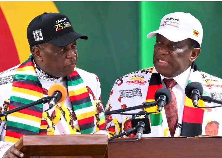 Is Mnangagwa “soft as wool,” or is he playing the crocodile game?