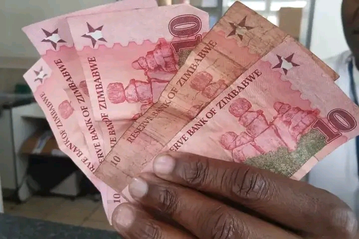 Zimbabweans Still Don’t Trust ZiG
