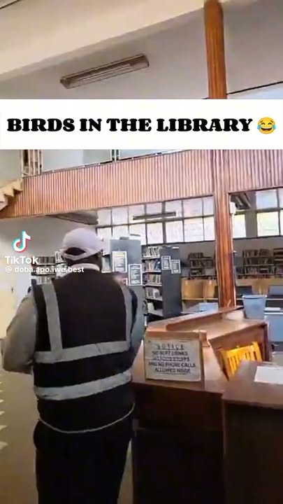 Awe sure! 🤣🤣