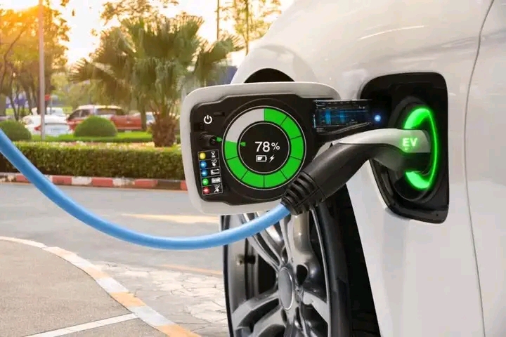 DEVELOPMENT EXPERT QUESTIONS GOVT’S FINANCIAL CAPACITY TO ACQUIRE ELECTRIC VEHICLES FOR MINISTRIES