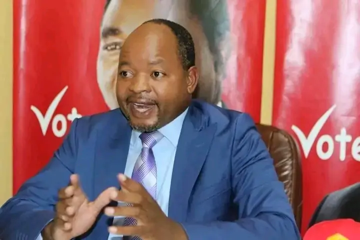 UPND Distances Itself From Calls to Remove Presidential Term Limit