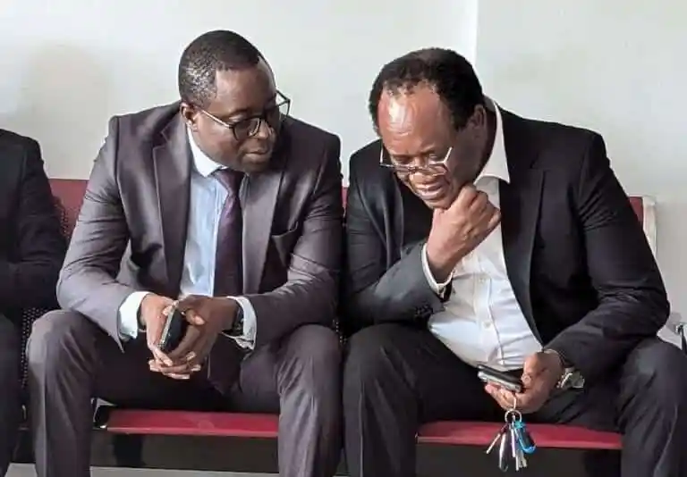 Brian Mundubile and Makebi Zulu Formally Charged With Seditious Practices