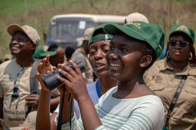 Can a working copper mine be a sanctuary for global travellers?