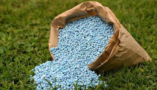 Farmers warned not to expect bumper yields with less fertilizer