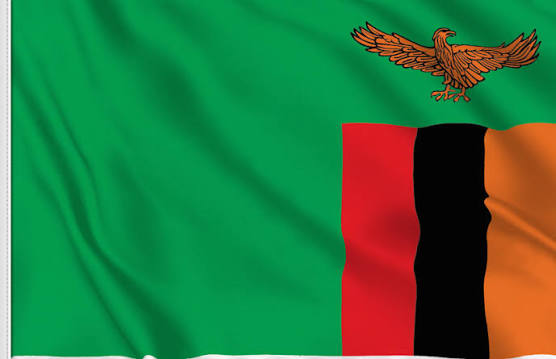 Govt bureaucracy threatens to derail Grow Zambia agenda – Kopakopa