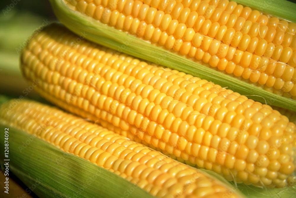 Enact law to stop raw maize exports or open franchise firms abroad – NASFA, LCU